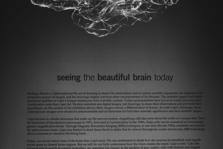 How to Elevate Self-Worth Through Streetwear's Laws of Attraction