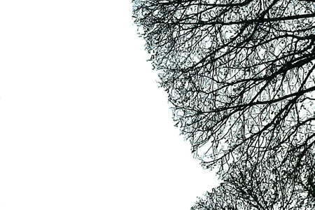 Look Good-Feel Good: Enhancing Confidence with a Mindset Overhaul