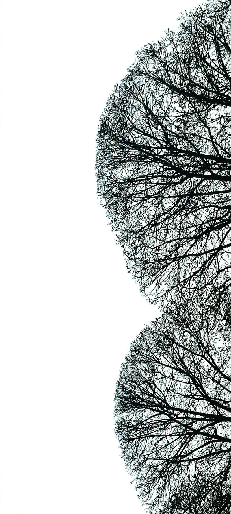 Look Good-Feel Good: Enhancing Confidence with a Mindset Overhaul