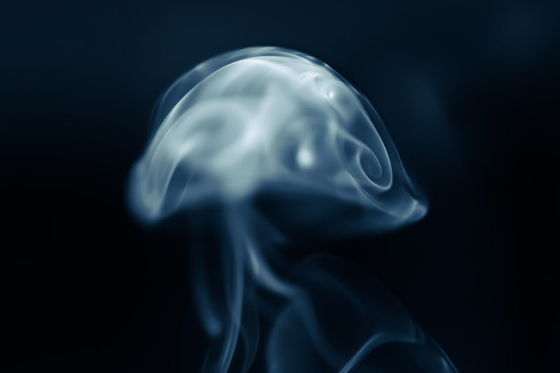 Mind Creates Reality: Discover How Streetwear Becomes Your Personal Empowerment Catalyst