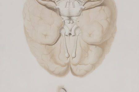 Style-Enabling Confidence: Unravel Streetwear Through Internal Perspective