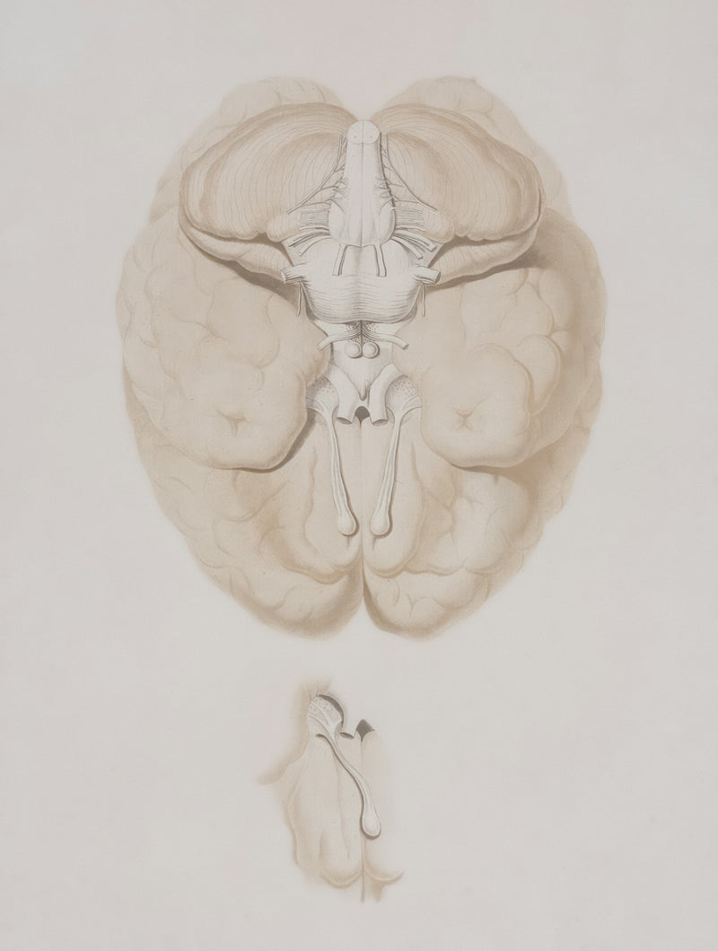 Style-Enabling Confidence: Unravel Streetwear Through Internal Perspective