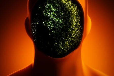 Transform Thoughts to Threads: Mind-Focused Fashion Guidance