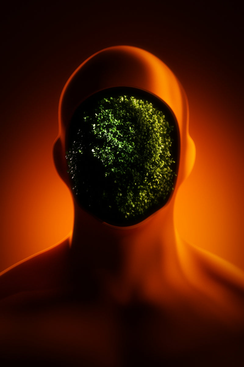 Transform Thoughts to Threads: Mind-Focused Fashion Guidance